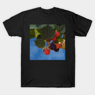 Bramble Branch Black and Red Blackberries T-Shirt